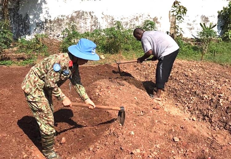 Trung tá Nguyễn Thị Liên giúp dân trồng trọt vào cuối tuần, sau những ngày thường làm việc trong căn cứ phái bộ Gìn giữ hoà bình Liên Hợp Quốc ở Trung Phi. Ảnh: Nhân vật cung cấp